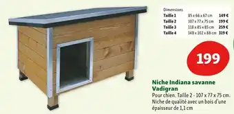 Vadigran niche indiana savanne