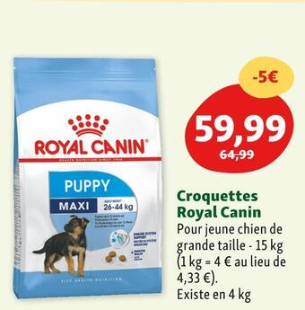 Maxi Zoo Royal canin croquettes offre