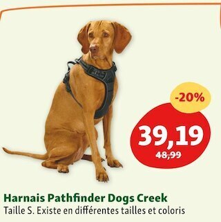 Maxi Zoo Dogs creek harnais pathfinder offre