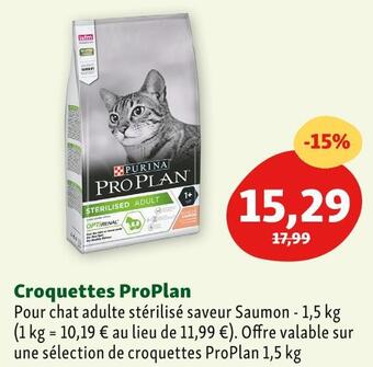 Maxi Zoo Purina croquettes offre