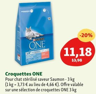 Maxi Zoo One croquettes offre
