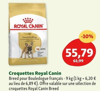 Maxi Zoo Royal canin croquettes offre