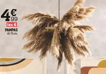 Centrakor Pampas offre