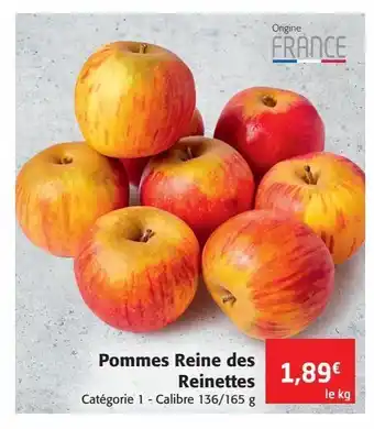 Colruyt Pommes reine des reinettes offre