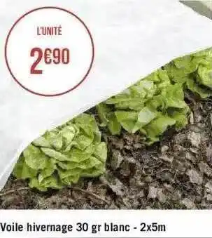 Géant Casino Voile hivernage 30 gr blanc - 2x5 m offre