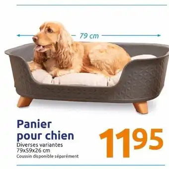 Action Panier pour chien offre