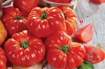 Cora x Carrefour Tomate côtelées de pleine terre variété Aumônière offre