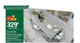 Bricorama Gamme Buffalo : Table Extensible Buffalo, Fauteuil Buffalo offre
