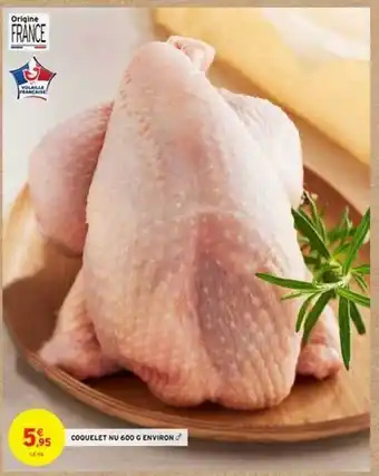 Coquelet Nu