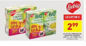 Le Lot de 2 Briques de Soupe de Légumes