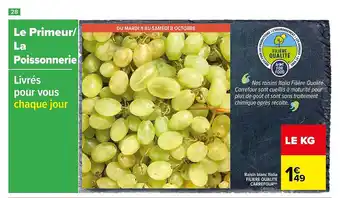 Carrefour Raisin blanc italia filière qualité carrefour offre