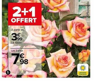 Carrefour Le rosier offre