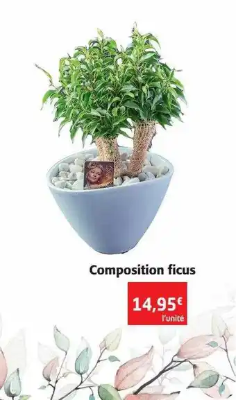 Colruyt Composition ficus offre