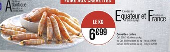 Casino Supermarchés Crevettes cuites offre