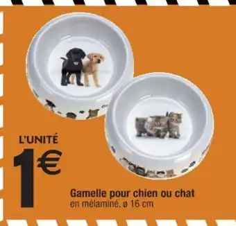 Cora x Carrefour Gamelle pour chien ou chat offre