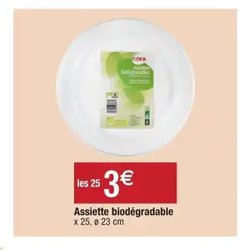 Assiette biodégradable