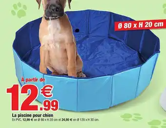 Bazarland La Piscine Pour Chien offre