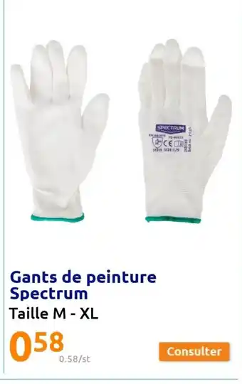 Action Gants de Peinture Spectrum offre