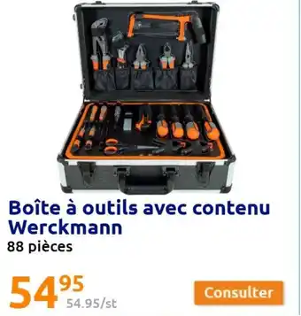 Action Boite a Outils Avec Contenu Werckmann offre