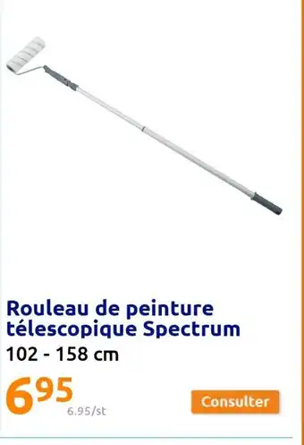 Action Rouleau de Peinture Telescopique Spectrum offre