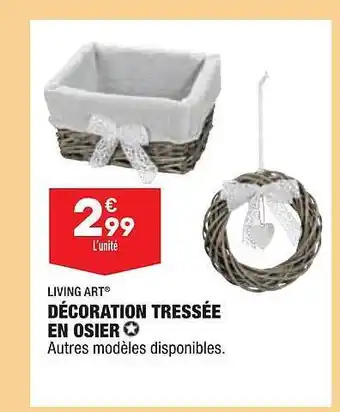 Décoration tressée en osier living art