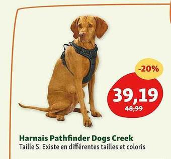 Maxi Zoo Harnais pathfinder dogs creek offre