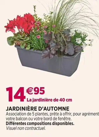 Delbard Jardinière d’automne offre