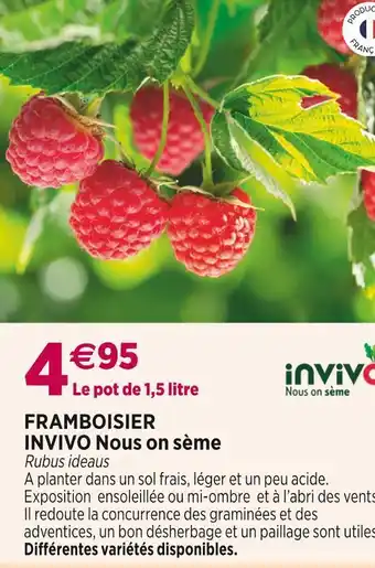 Delbard Invivo nous on sème framboisier offre