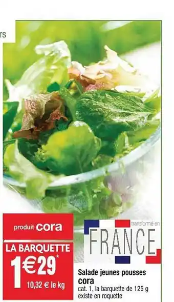 Cora x Carrefour Salade Jeunes Pousses Cora offre