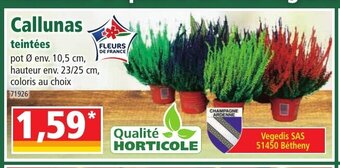 Norma Callunas offre