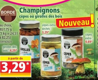 Norma Champignons offre