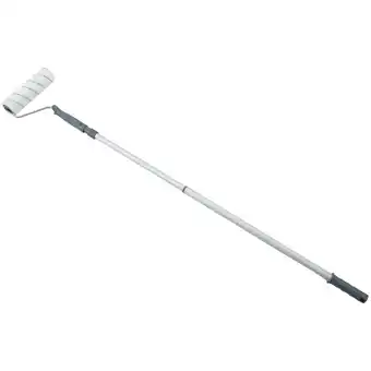 Action Spectrum rouleau de peinture télescopique spectrum offre