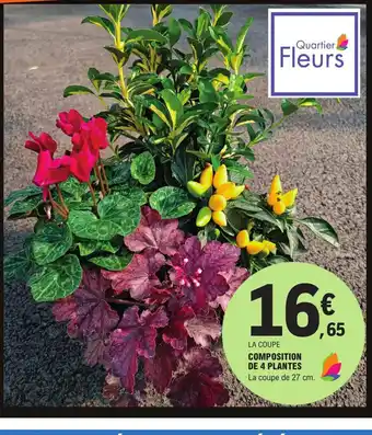 E.Leclerc Composition de 4 Plantes offre