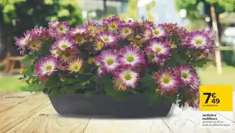 Carrefour Existe en différents coloris. jardinière multifleurs offre