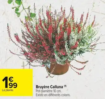Carrefour Market Bruyère calluna offre