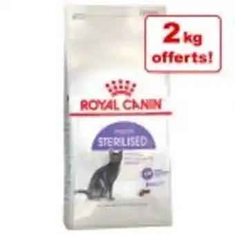 Zooplus Croquettes royal canin pour chat 10 kg + 2 kg offerts ! offre