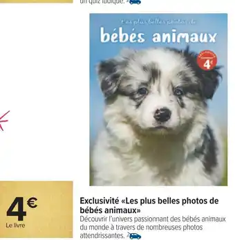Carrefour Exclusivité les plus belles photos de bébés animaux offre