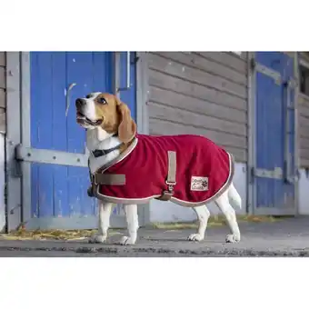Couverture polaire pour chien diego &...