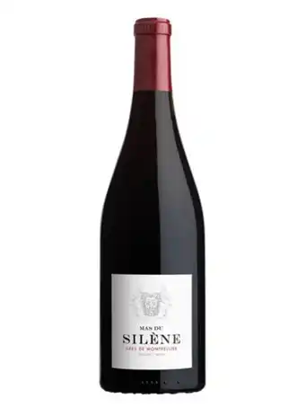 Mas du silene 2020