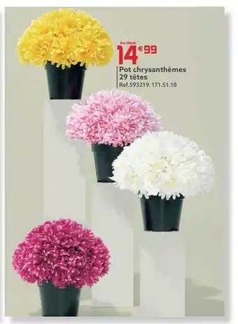 Gifi Pot chrysanthèmes 29 têtes offre