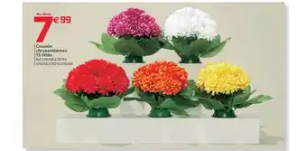 Gifi Coussin chrysanthèmes 15 têtes offre