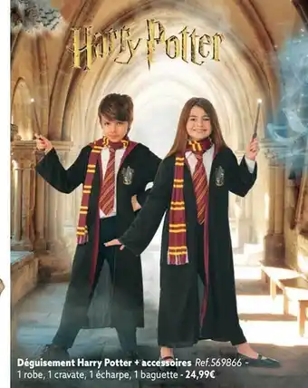 Déguisement harry potter + accessoires harry potter