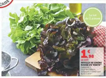 U Express Feuille de chêne rouge ou verte offre