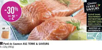 Géant Casino Terre & saveurs pavé de saumon asc offre