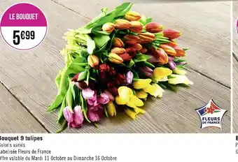 Bouquet 9 tulipes