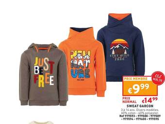 Trafic Sweat garçon offre