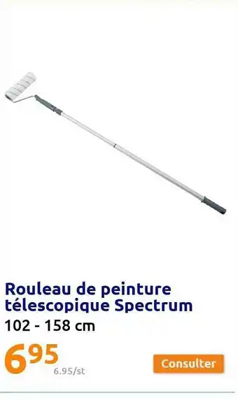 Action Rouleau de peinture télescopique spectrum offre