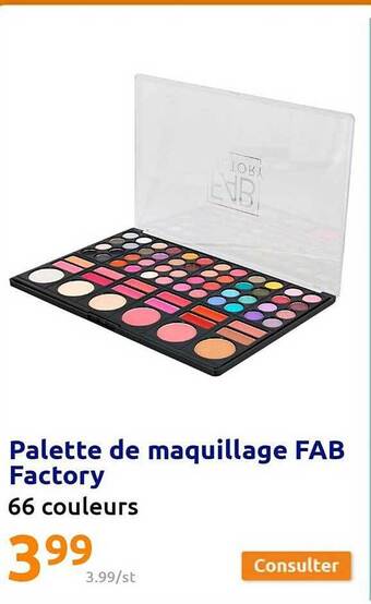 Action Palette de maquillage fab factory offre