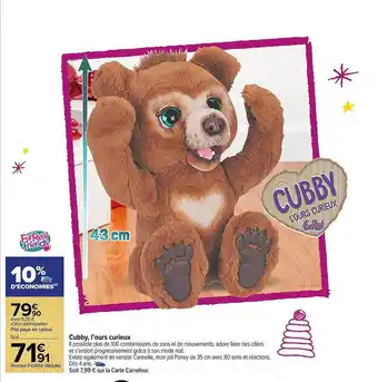 Cubby, l'ours curieux