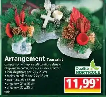 Norma Arrangement toussaint offre